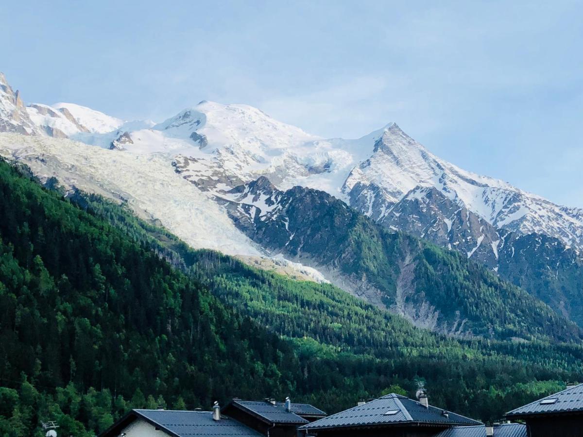Mont Blanc 43, Vue Mont Blanc , Balcon, Parking Apartment Chamonix Exterior foto