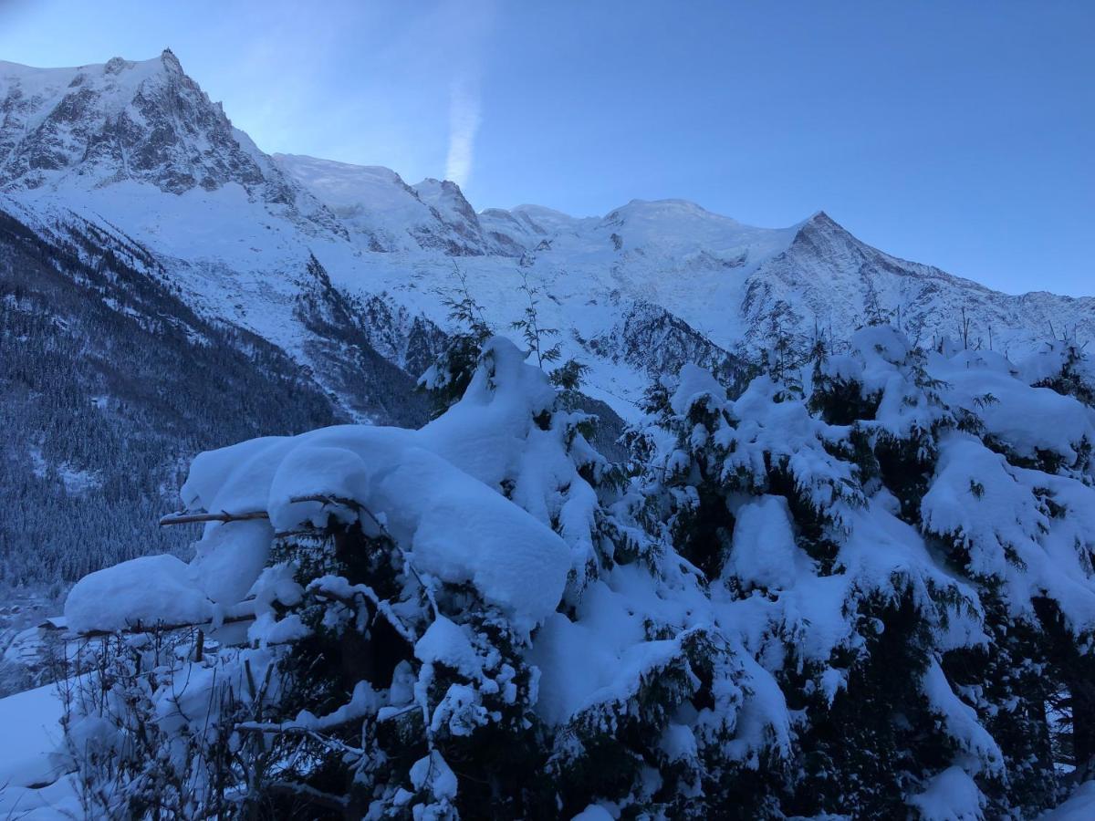 Mont Blanc 43, Vue Mont Blanc , Balcon, Parking Apartment Chamonix Exterior foto
